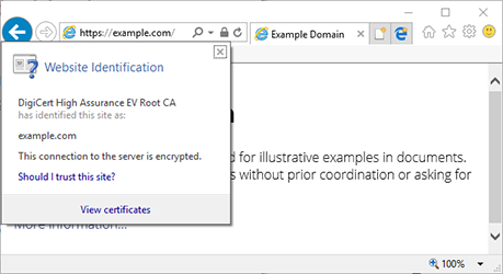 Internet Explorer Secure Website Icon